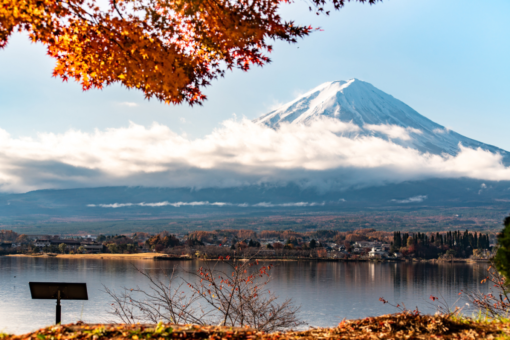 Klony i góra Fudżi