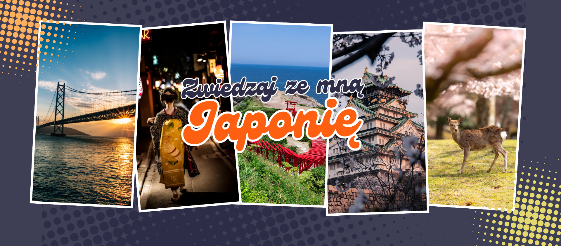 baner przewodnik po japonii moody onigiri